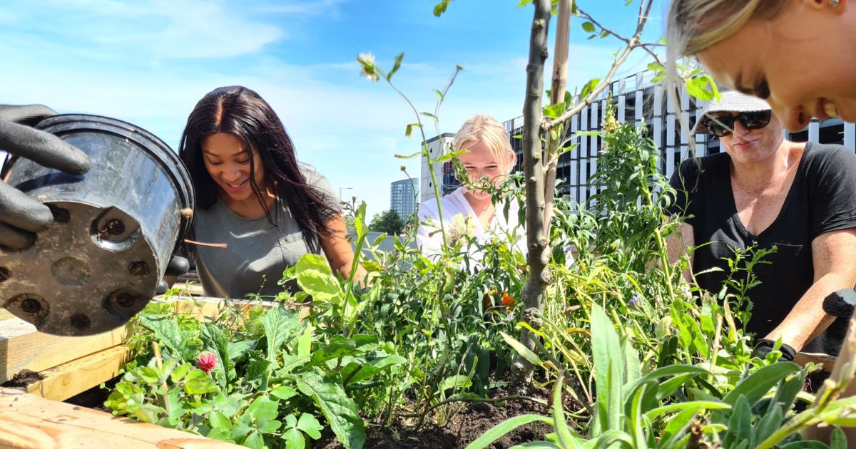 The Lighthouse and Gardens Hadley Property Group